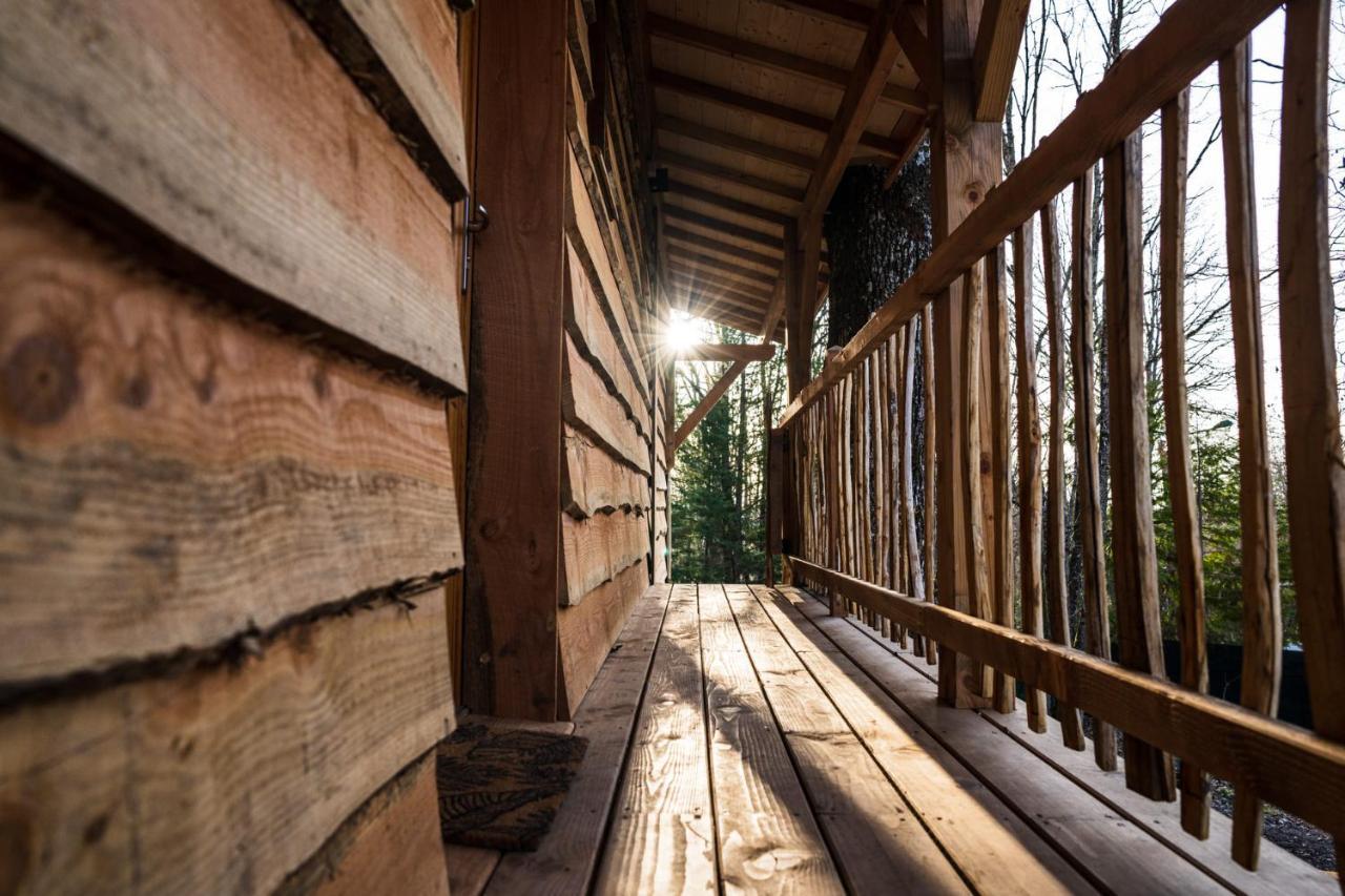 Charmante Cabane Dans Les Arbres Avec Jacuzzi Et Sauna Boismorand Eksteriør billede
