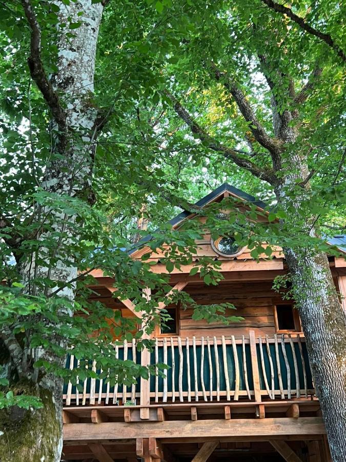 Charmante Cabane Dans Les Arbres Avec Jacuzzi Et Sauna Boismorand Eksteriør billede