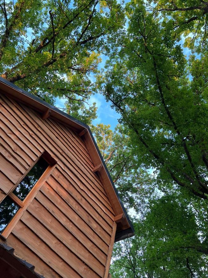Charmante Cabane Dans Les Arbres Avec Jacuzzi Et Sauna Boismorand Eksteriør billede