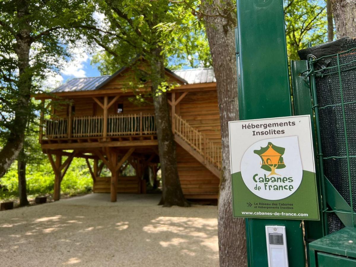 Charmante Cabane Dans Les Arbres Avec Jacuzzi Et Sauna Boismorand Eksteriør billede