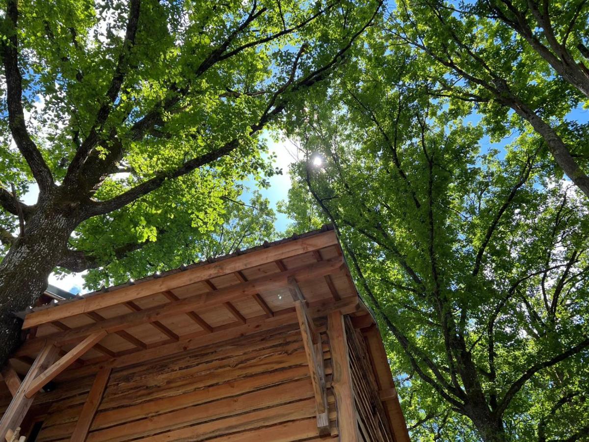 Charmante Cabane Dans Les Arbres Avec Jacuzzi Et Sauna Boismorand Eksteriør billede