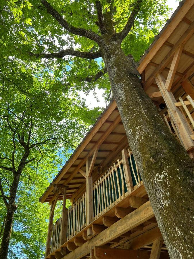 Charmante Cabane Dans Les Arbres Avec Jacuzzi Et Sauna Boismorand Eksteriør billede