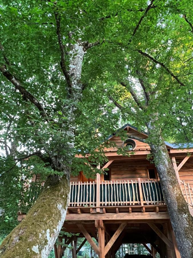 Charmante Cabane Dans Les Arbres Avec Jacuzzi Et Sauna Boismorand Eksteriør billede