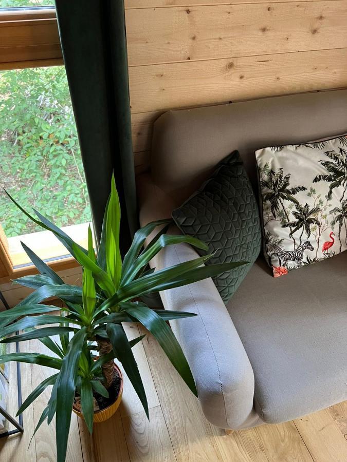 Charmante Cabane Dans Les Arbres Avec Jacuzzi Et Sauna Boismorand Eksteriør billede
